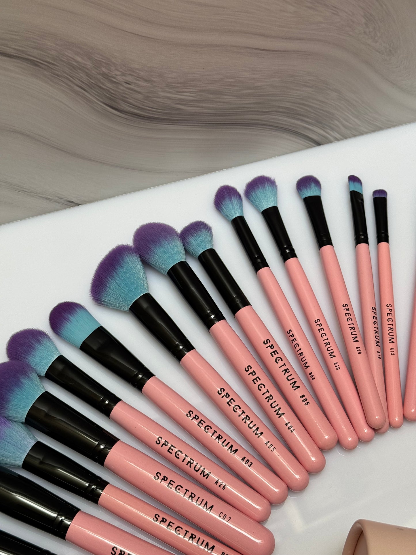 Set de 30 brochas Spectrum Collections