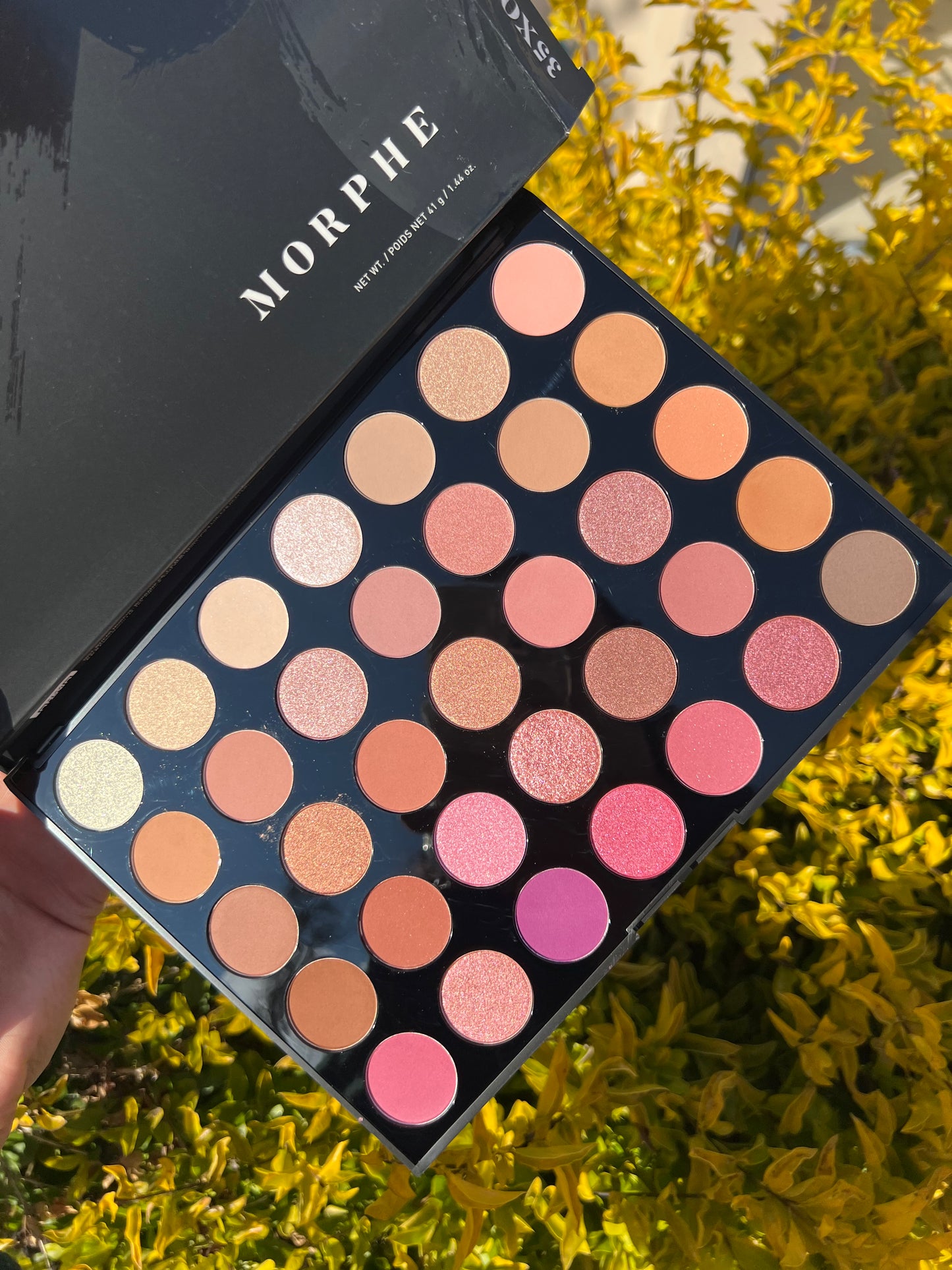 Morphe 35XO palette