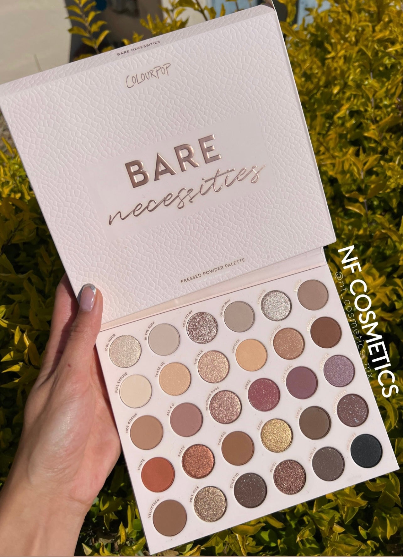 Bare Necessities palette Colourpop