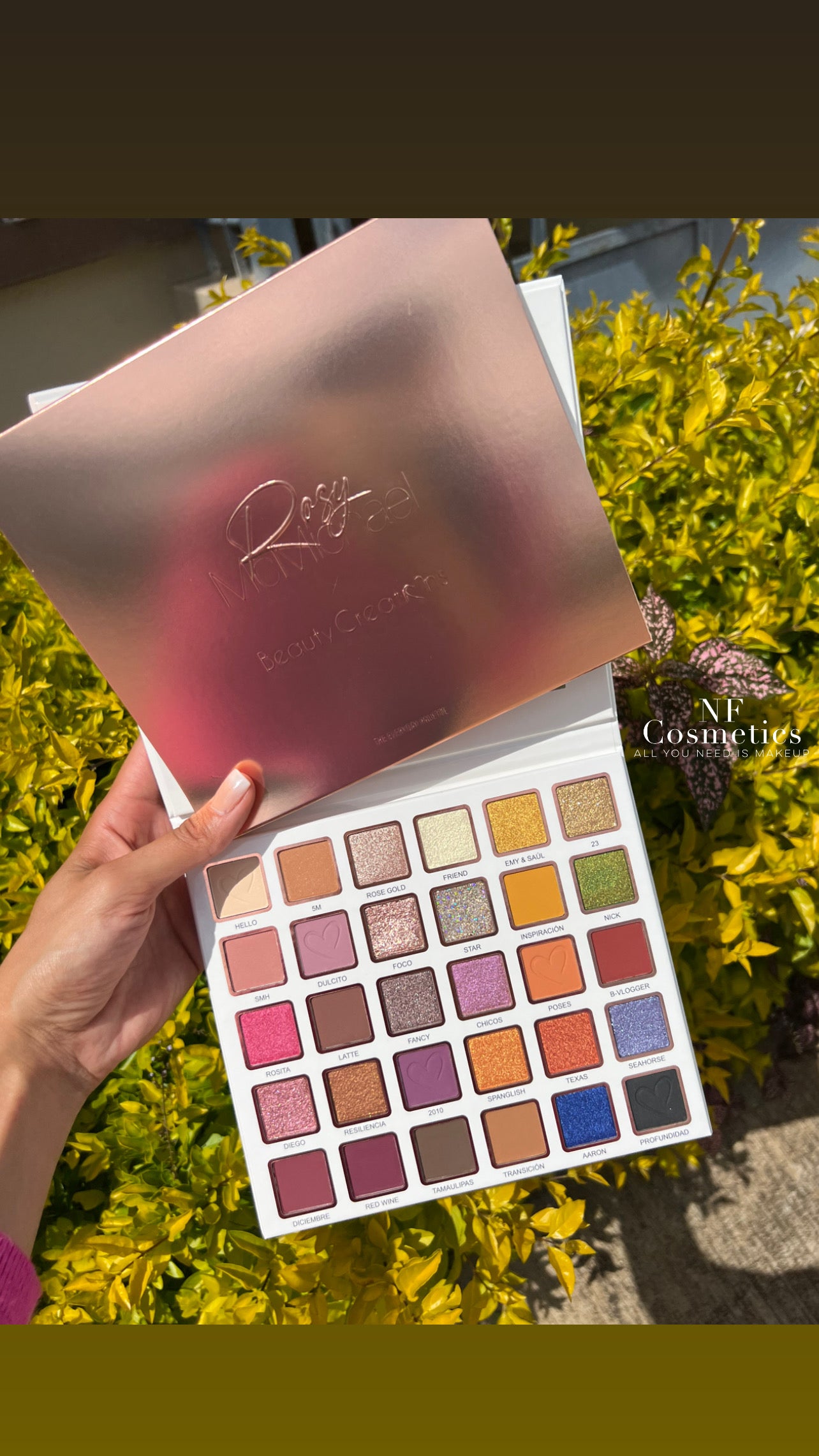 The Everyday palette Rosy x Beauty Creations